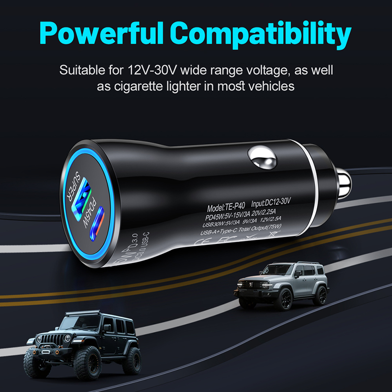 Dual-Port 45W USB-C Autoladege – Usb C Hub Bewertung und Preis